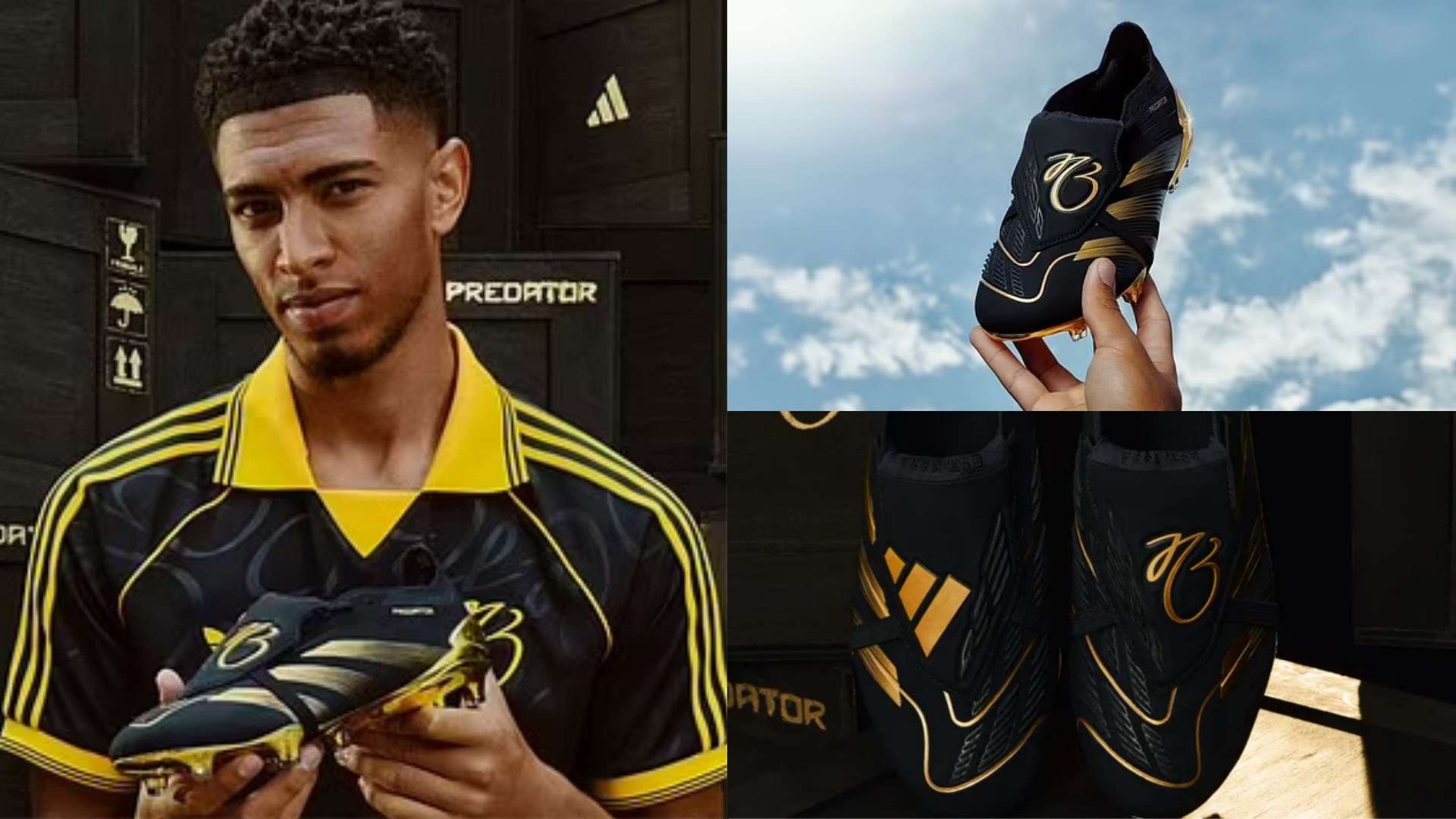 疗团队进场 疗团队进场